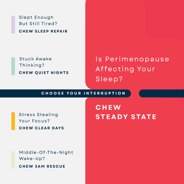 Steady State
