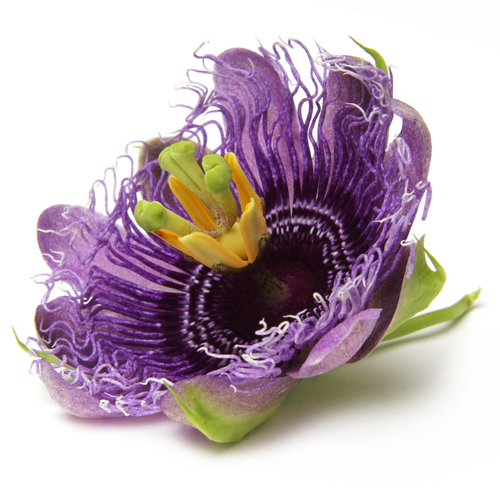 Passionflower extract